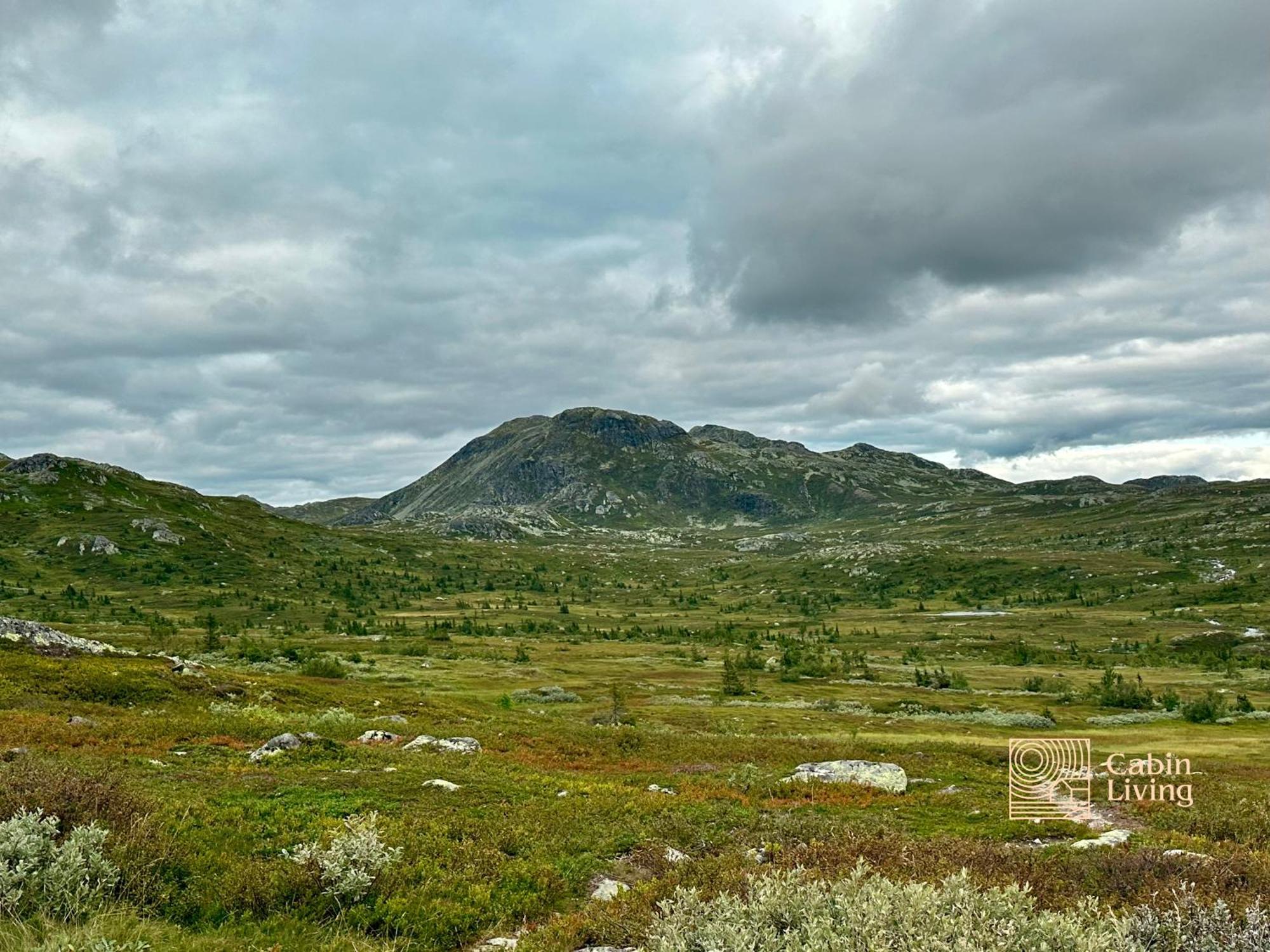 Brand New Cabin On The Sunny Side Of Gaustatoppen With A Great View Tuddal Exterior foto